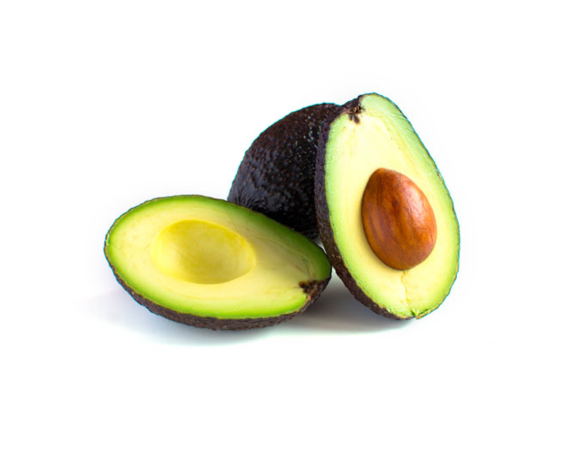 cultivar-aguacate